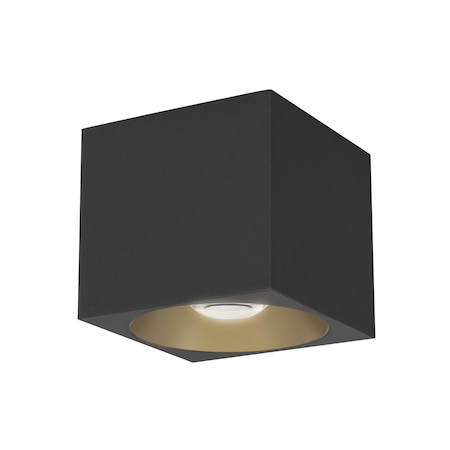 Maxim Lighting Stout 120-277V Indoor/Outdoor Flush Mount, Black 86213BK
